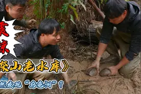 花2万包下一个深山老水库，想不到竟然发现了“乌龟洞”视频封面