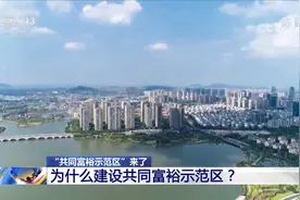 权威解读！“共同富裕示范区”为何花落浙江？视频封面