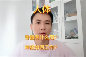 罗大力的人体研究：脊髓有什么用？神经如何工作？视频封面