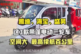 雅迪、海宝、盛昊这3款带篷电动三轮车，空间大，最高续航百公里视频封面