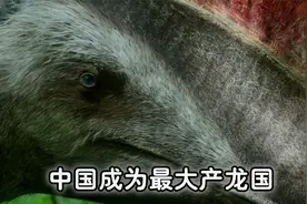 世界产龙最多的国家，每年还在以8到10种的速度增长视频封面