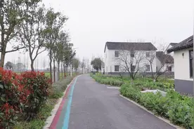 上海郊区有个公园可以开车进去，开车逛公园视频封面