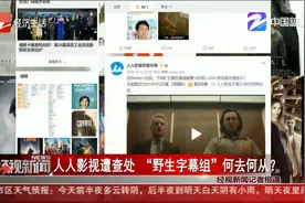 人人影视遭查处 “野生字幕组”何去何从？视频封面