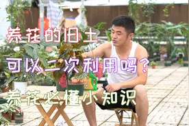 养花的旧土可以二次利用吗？学会这几招，既不浪费还好用。视频封面