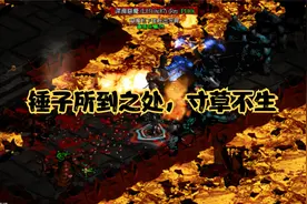 暗黑2圣骑士锤子流加上凤凰盾，无敌的存在