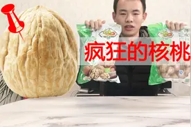 小伙挑战新疆“薄皮核桃”？看看500克能开出来多少核桃仁！视频封面