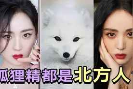 狐狸精”的演员多北方人，只是巧合？视频封面