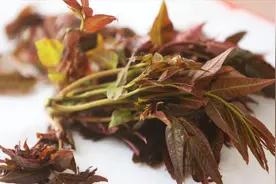 香椿煎蛋要不要先焯水？厨子师傅喜欢这样做，享受最纯正的鲜和香视频封面