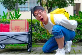 方伟挑战24小时不用手生活一天，拍摄过程感动又搞笑视频封面