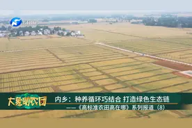 内乡：种养循环巧结合 打造绿色生态链视频封面