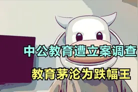 中公教育遭立案调查，教育茅沦为跌幅王视频封面