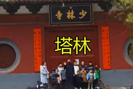 河南小伙穷游中国，游览嵩山少林寺！塔林规模很大，是高僧的墓地视频封面
