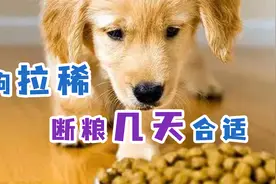 狗拉稀断粮几天合适视频封面