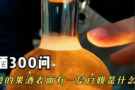 自酿的果酒表面有一层白膜是什么，如何产生和如何防治？视频封面