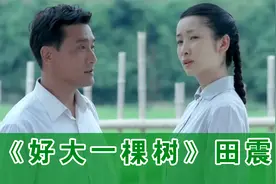 田震演唱《好大一棵树》嗓音独特，别有风味，听了有股莫名的感动视频封面