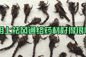 头发麻舌头也麻，老是咬到嘴唇，中药祛风通络调理后好转很多视频封面