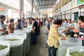 茶叶该如何保存呢？记住这几点，茶叶就坏不了视频封面
