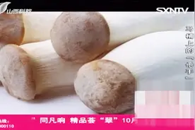 说出你的爱：三味中药制作通便秘方，专家给出详细制作方法视频封面