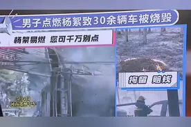 杨絮易燃您可千万别点！河南郑州：男子点燃杨柳絮致30余辆被烧毁视频封面