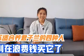不适合养君子兰的四种人，别在浪费钱买它了视频封面