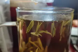 叶落无声视频封面