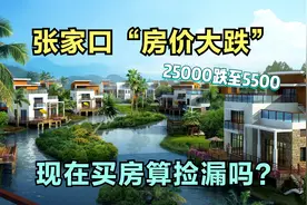 河北张家口房价大跌，市中心房子降到5500/㎡，现在买算捡漏吗？视频封面