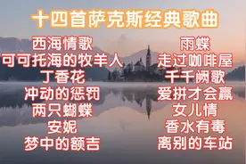 十四首萨克斯版经典老歌《西海情歌》雨蝶《可可托海的牧羊人》视频封面