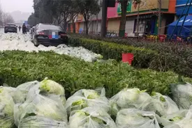 司机被困上海高调“炫富”后续：菜被一锅端，现场只留下500元视频封面