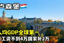 月收入低于4w属于贫困人口 可以领国家补助【环球自驾103】卢森堡视频封面