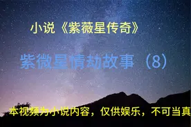 紫微星情劫故事（8）视频封面