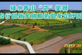 百姓财经：绿水青山“贷”笑颜 农行创新金融服务助茶企纾困视频封面