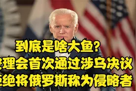 到底是啥大鱼？安理会首次通过涉乌决议，拒绝将俄罗斯称为侵略者视频封面