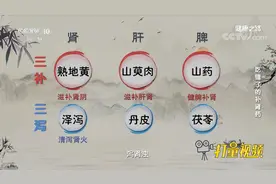 六味地黄丸主要配方有“三补三泻”，补泻结合达到平衡|健康之路视频封面