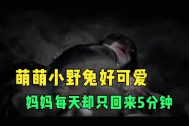 小野兔萌萌好可爱，兔妈妈每天只回来照顾5分钟，这是为何？视频封面