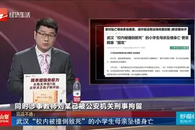 武汉“校内被撞倒致死”的小学生母亲坠楼身亡视频封面