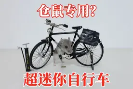 超迷你自行车：仓鼠专用？有点费劲啊！视频封面