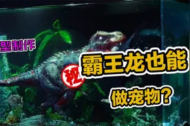 模型制作：意想不到，听说霸王龙也能变成宠物？视频封面