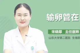 输卵管在哪？视频封面