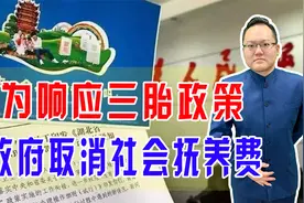 为响应三胎政策，政府已取消社会抚养费，并将养育成本计入纳税视频封面
