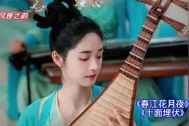 琵琶经典名曲欣赏《春江花月夜》《十面埋伏》视频封面