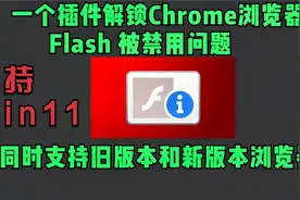 一个插件解决Chrome谷歌浏览器Flash被禁用问题