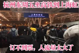 杭州东出发周五坐高铁到上海虹桥基本抢不到票，人流量太大了视频封面