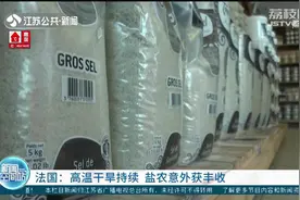 一公斤超680元！法国高温干旱持续，盐农意外喜获丰收视频封面