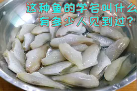 这种鱼川渝地区特别流行，但很多人却不知道它的学名，只知道好吃视频封面