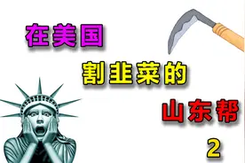山东帮是如何在美丽国割韭菜的？视频封面