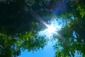 海南将迎37度以上高温！台风“鹦鹉”送雨消暑，下周暑热重回海岛视频封面