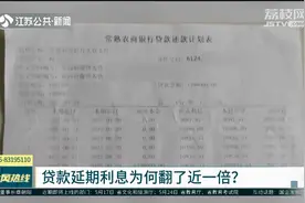 贷款延期利息为何翻了近一倍？江苏省农村信用社联合社现场回应视频封面