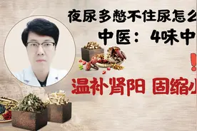 夜尿多，憋不住尿怎么办？中医：几味中药，温补肾阳，固缩小便视频封面