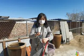 南方果树北方能栽吗？网购榴莲波罗蜜树苗承诺当年结果，真能活吗视频封面