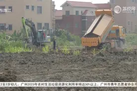 广州南沙：农田被堆填淤泥？村委会：正进行土壤改良视频封面
